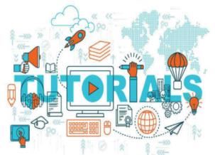 网站建设 网站建设