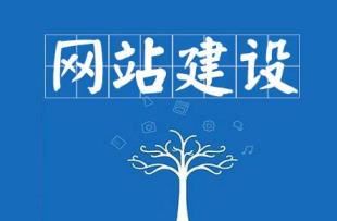大型网站怎么建设