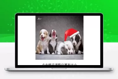 QQ头像加上圣诞帽子在线生成源码